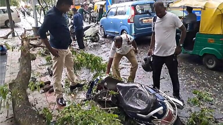 Bengaluru rain: First shower cripples infrastructure in the city; citizens furious at BBMP