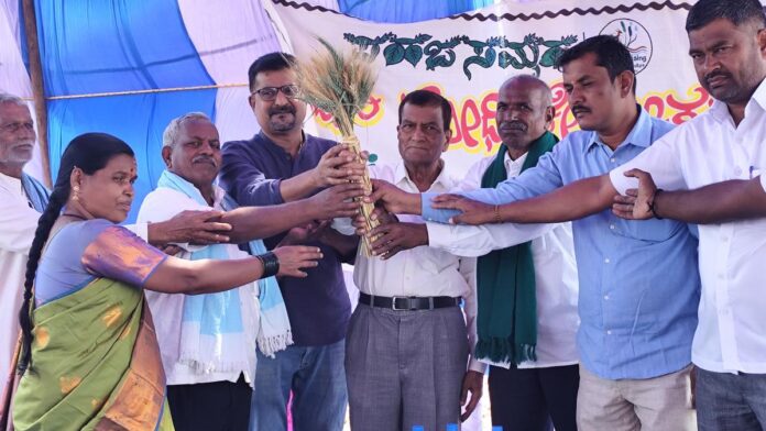 Focus on promoting native crop varieties 