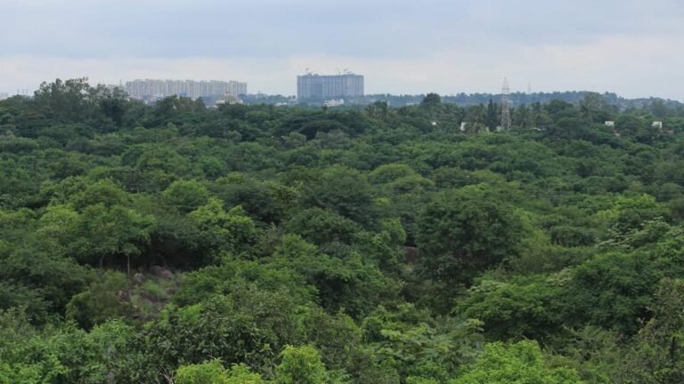 Government will reconsider auction of Kancha Gachibowli land, says Minister Sridhar Babu 