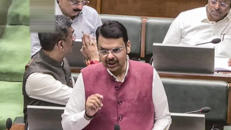 Nagpur violence: No cloth with Quranic verses burnt; rioters will be`dug out from graves', says CM Fadnavis 