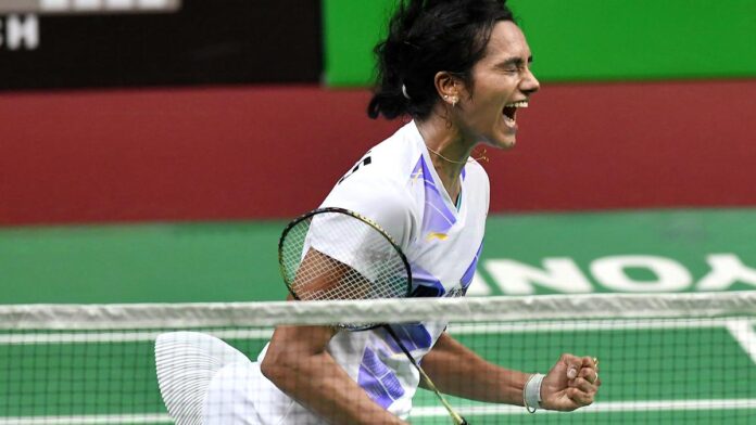 Review of Akshay Lokapally and Vijay Lokapally’s new book Net Flicks — India’s Smashing Affair with the Shuttle