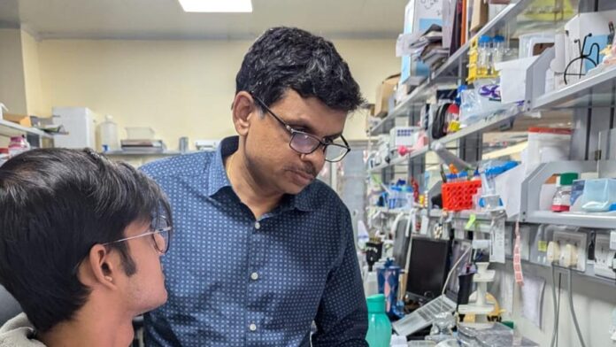 TIFR study proposes potential therapeutic to mitigate metabolic effects of sugary beverages 