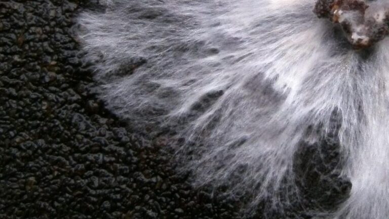 The promise of mycelium bricks