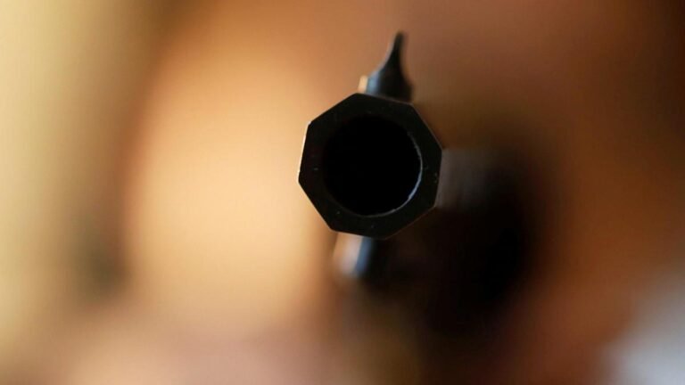 Two bike-borne assailants open fire at dhaba owner in Mandi; flee with cash, TV