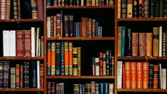 What are preprints?